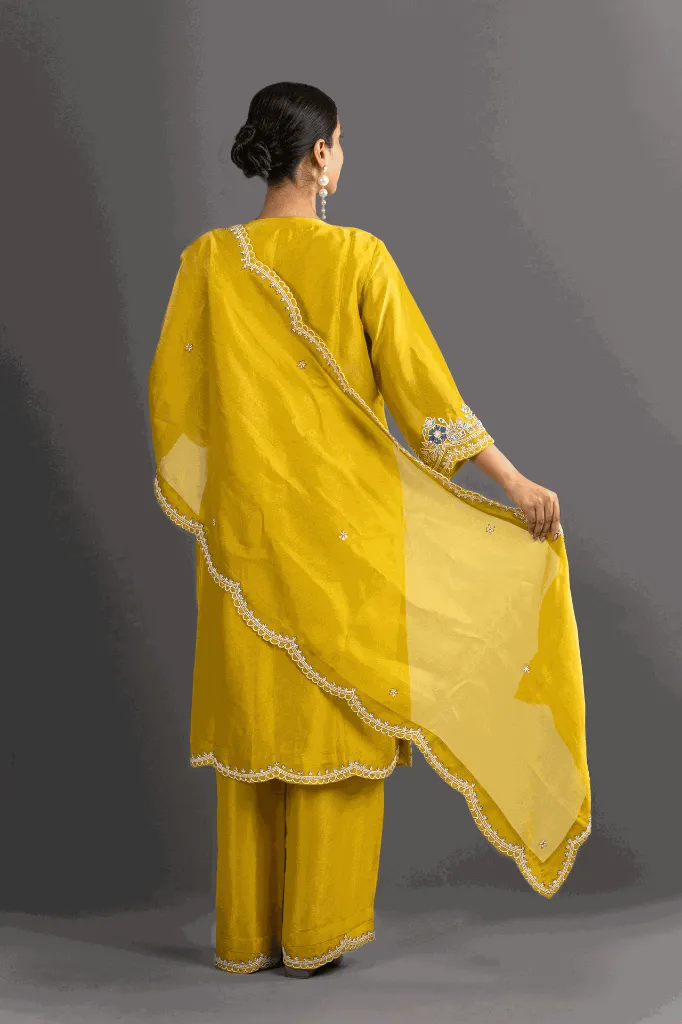 Yellow Tissue Suit Set BACK.webp